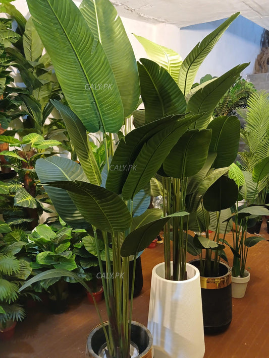 Artificial Banana Leaves Plant - 4, 5, 6, 7 and 8 Feet