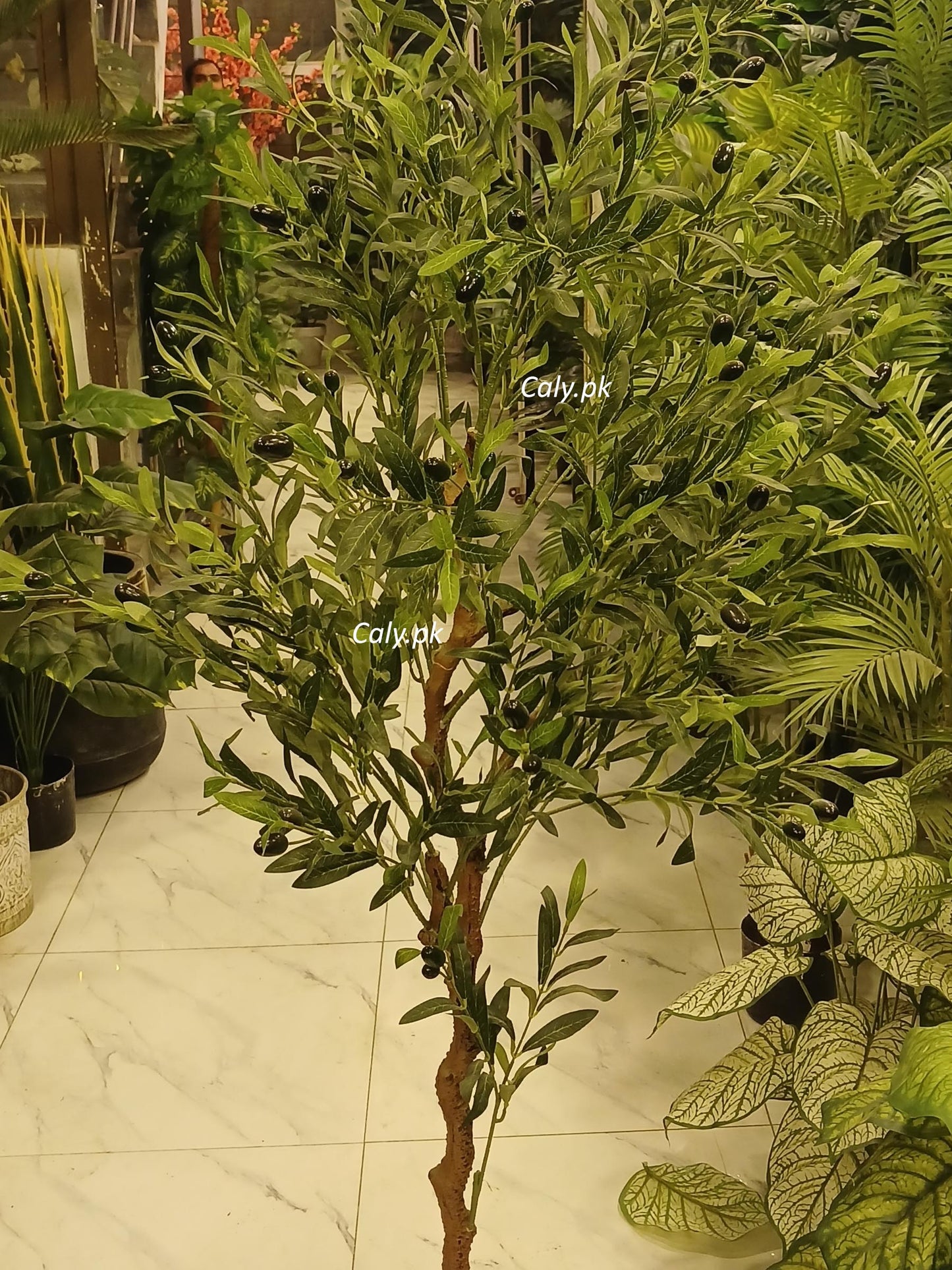 Artificial Olive Tree - Large Plant with Fruits