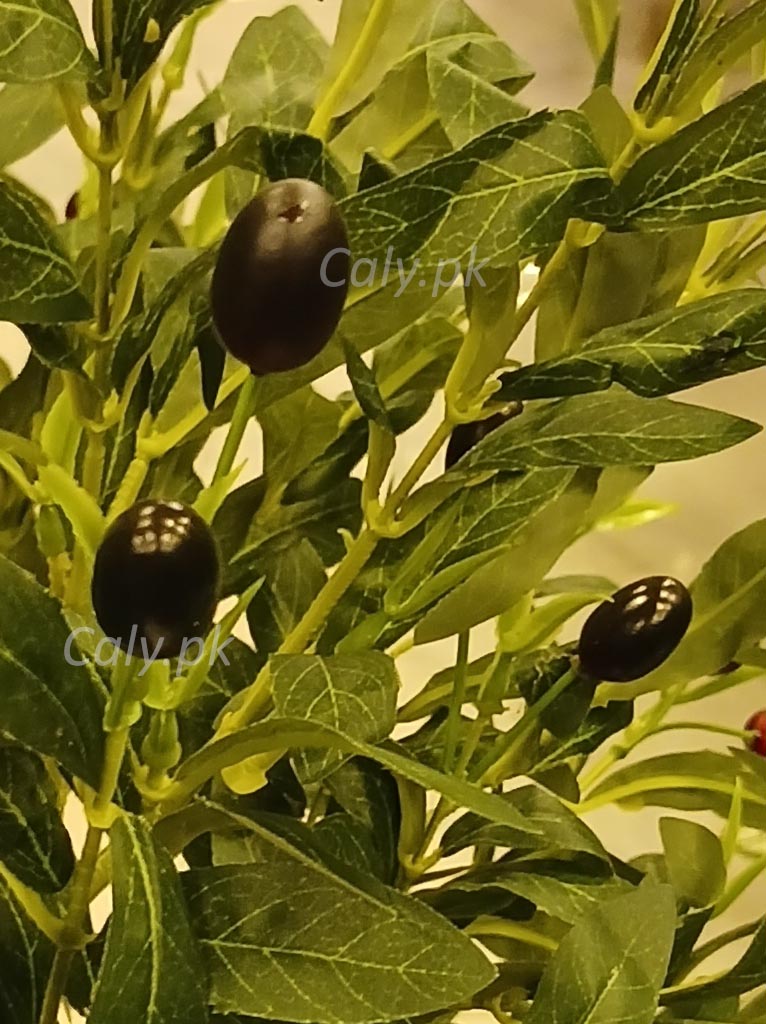 Large artificial olive tree with realistic fruits