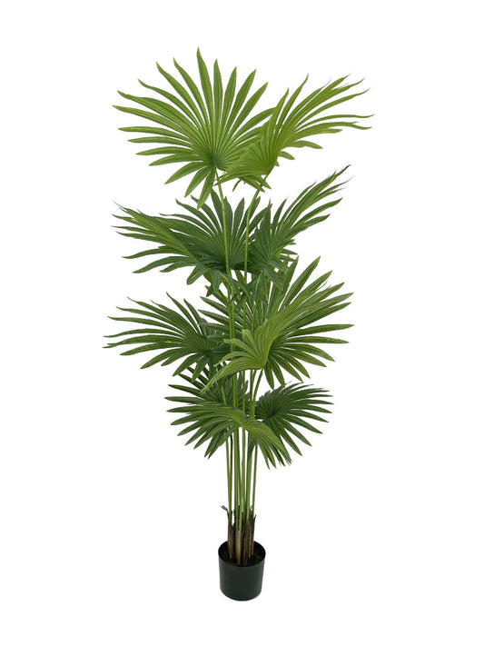 Artificial Fan Palm Tree - 5 and 6 Feet
